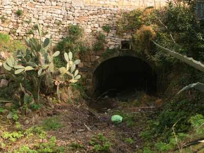 Qui fra agave, cactus, arbusti secchi e piantine selvatiche notiamo scavata in un muretto a secco una piccola cavit� che non sappiamo dove possa portare